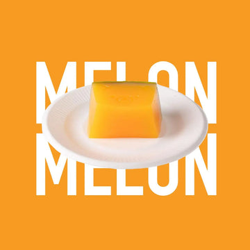 Little Bear Melon Squishy Toy