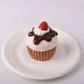 front view of Creamy Tree P-Brown Cupcake Squishy Toy