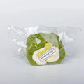 Creamy Tree Matcha Cream Roll food squishy front view