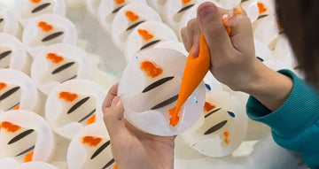 5 Best Squishy Toys for the Office