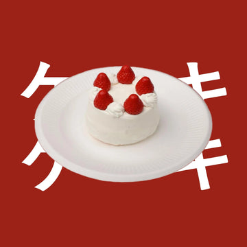 White Cream Winter Strawberry Cake Squishy Toy