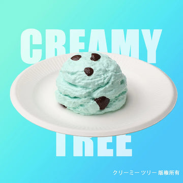 【CT180】Choco Mint Ice Cream Ball Squishy Toy