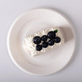 Top view of Creamy Tree Blueberry Bar Cake Squishy Toy
