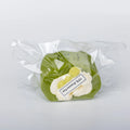 Creamy Tree Matcha Cream Roll food squishy front view