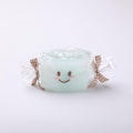 New Arrival [CT253] Cream Clay: Treemie Mint Chocolate Ice Cream Cone Silicone Squeeze Toy — a toy that provides slow rebound for stress relief CREAMY TREE