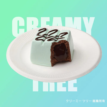 【CT178】Mint Chocolate Squishy Toy