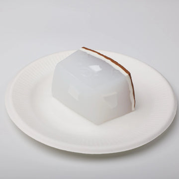 CREAMY TREE Coconut Squishy Toy