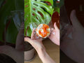 The texture of Creamy Tree Orange Tart  food squishy toys