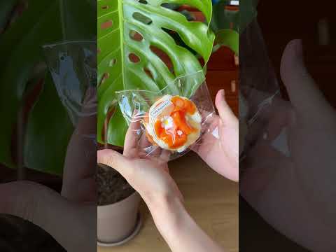 The texture of Creamy Tree Orange Tart  food squishy toys