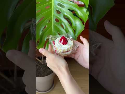 The texture of Creamy Tree Strawberry Ribbon Cake food squishy toys