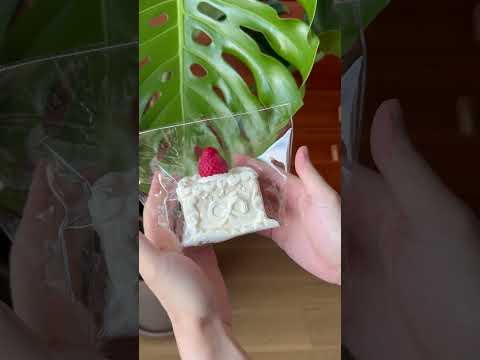 The texture of Creamy Tree Berry Cream Cube food squishy toys