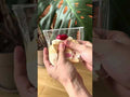 the texture of Creamy Tree Cherry Macaron Cake Squishy Toy