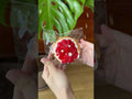 The texture of Creamy Tree Sweet Strawberry Tart food squishy toys