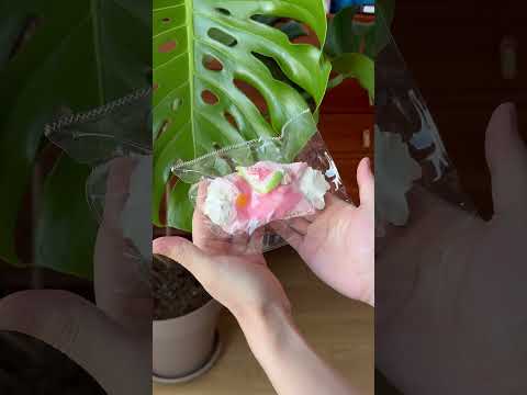 The texture of Creamy Tree figs ice cream food squishy toys