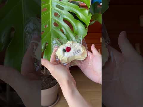 The texture of Creamy Tree Berry Cream Roll food squishy toys